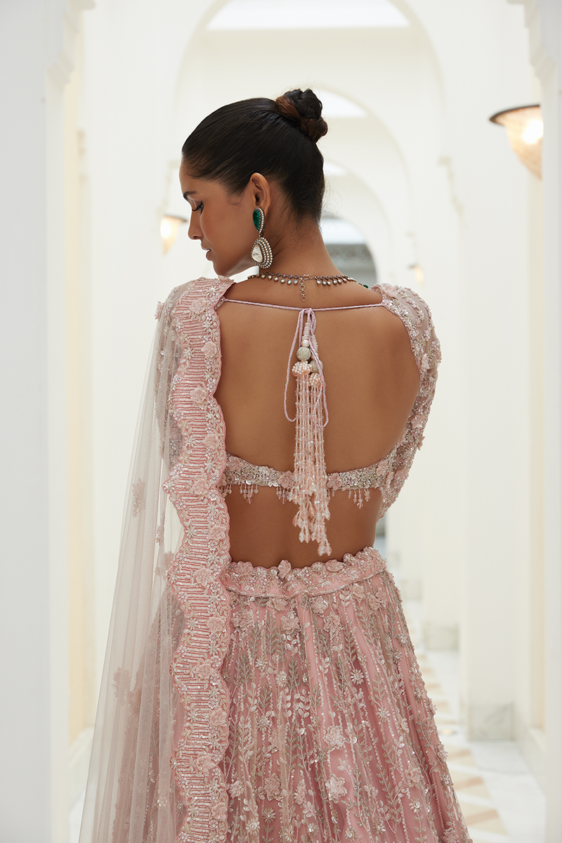Backless 2025 chaniya choli