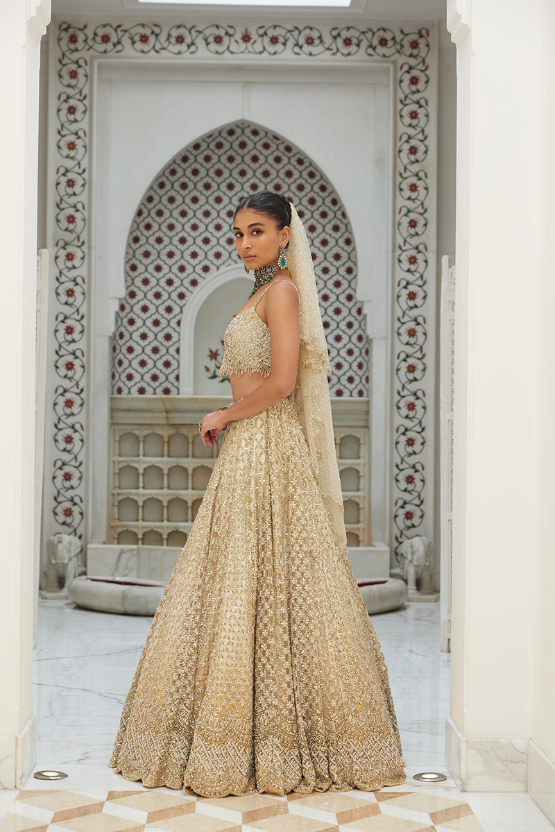 Jonita Gandhi In Light Beige Net Lehenga Choli Set main image 0