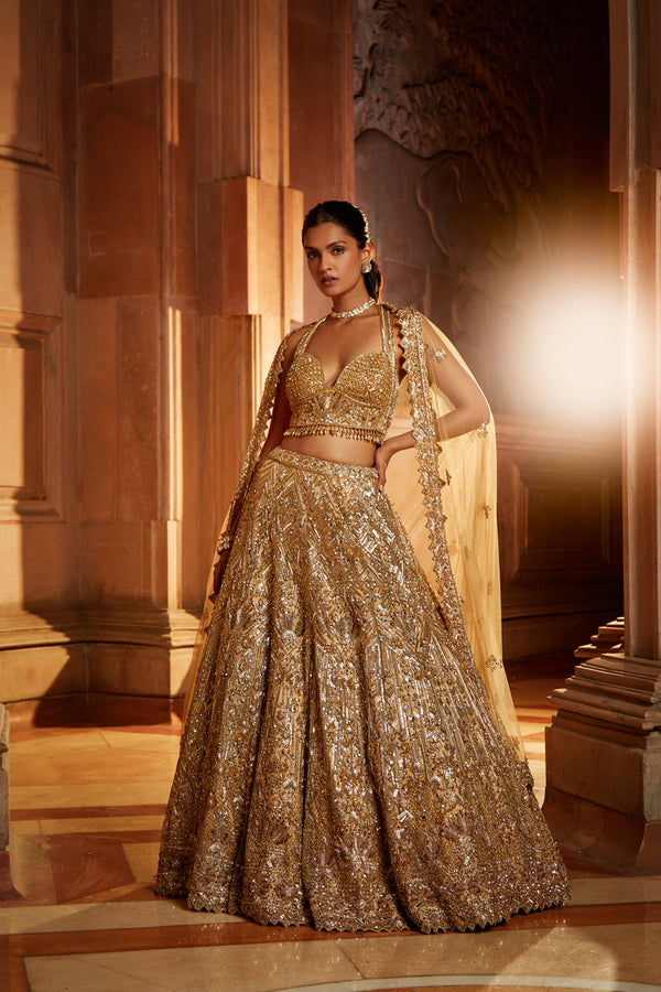 Gold Tulle Lehenga Choli Set