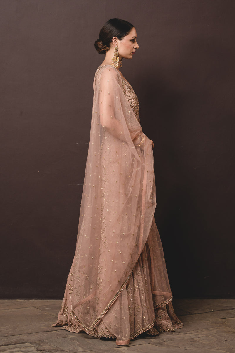 Tea Rose Shimmer Georgette Gown